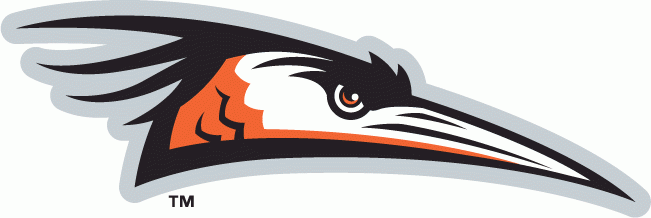 Delmarva Shorebirds 2010-Pres Primary Logo iron on transfers for clothing